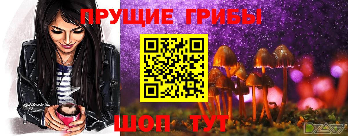 Галлюциногенные грибы Magic Shrooms Можга